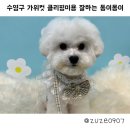 몽이미용실 이미지