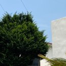 예래느랑 이미지