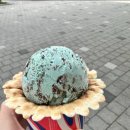 플루800전북대점 이미지