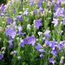 인천대공원(정문) 이미지