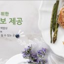 앤드아이 네이버블로그
