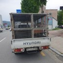 맥과이어스하당점