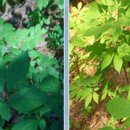 은경농장 이미지