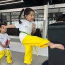 뿌리깊은나무 국기태권도장 이미지