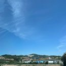 가야지 | 평창 가야지캠핑장 반려견동반 후기 (D구역 호수뷰 19)