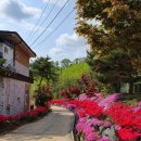 칠갑산계곡펜션 이미지