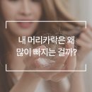 웰킨마포점 이미지