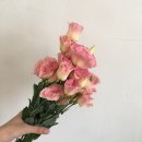 하나커머셜