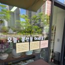 5월의 나: 갓생 살려다가 그냥 갓김치 됨
