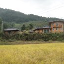 고향황토집 이미지