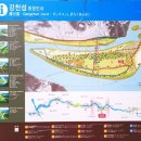 은행나무1길 이미지