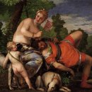 아도니스 이미지