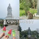 다낭여행 [링엄사] / [해수관음상] 아이스크림 / 그랩 왕복 후기