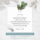 [W-102] 24년 봉 스튜디오 신규 배경 비토탈 촬영후기 실내 1세트장 (feat. 제이웨딩, 누벨드블랑, 히엘)