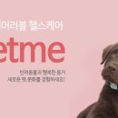 글로벌이노테크파트너