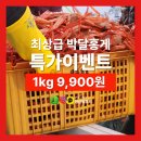 싱싱씨푸드 이미지