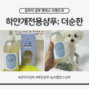 화이트펫# | 강아지샴푸 하얀개전용 ㅣ펫퍼스 더 순한 샴푸 화이트 후기