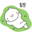 로히펫살롱 이미지