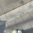 리스트신세계 이미지