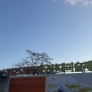 디아크광장 | [대구 강정보] 달성 디아크 광장 산책 &amp; &lt;달성대구현대미술제&gt; 관람 후기🎨✨