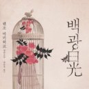 백광 이미지