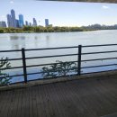 팔거천변 산책로4 | 🌅 한강변 산책로 — 서울 시민의 일상 힐링 코스, 걷기만 해도 마음이 편안해지는 곳