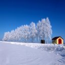 세븐스타 이미지