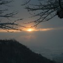 기축년 새해 금성산 일출. 이미지