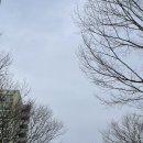 에스마켓 | 울산 남구 육천원 컷트 미용실 _ 자유 미용실 (3월 부터 컷트비 인상)