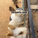 화합로L 이미지