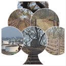 고향내음 | 내 고향 황금산