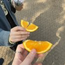 삼삼오오목장 이미지