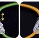 토마토키즈 이미지