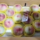 반디농원 이미지