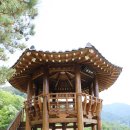 지리산둘레길 14구간 2부 정금정-가탄마을 : 세계중요농업유산 정금차밭과 지리산 주능선 형제봉을 바라보며 이미지
