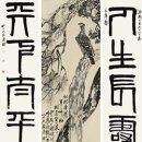 송백시장 Daum카페
