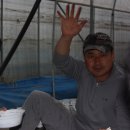 김우영 농장 이미지