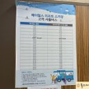 하이원 스키장 렌탈샵 내돈내산 스타 스키샵 추천 리프트권도 판매