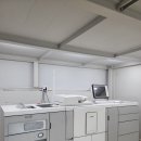 디자인지군