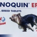 위례나무동물병원 이미지