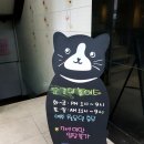 꼬양이 놀이터 네이버블로그
