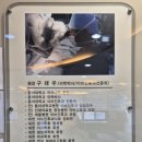 율하이비인후과의원 이미지