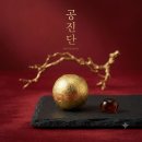 유정O.A | 공진단(拱辰丹), 황제의 보약
