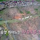 연강농장 이미지