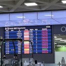 함덕파란집 | 제주도 함덕 숙소 :: 제주도 함덕비치스테이호텔 후기 (비행기 결항으로 추가로 머문 여행)