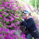 개폼난다 이미지