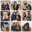 청담펫츠 이미지