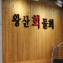 왕산물회