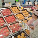 롯데마트 이미지