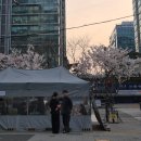 가산디지털단지역 6번출구 | 가산디지털단지역 벚꽃뷰 야장 달밤 포차｜금요일 웨이팅 내돈내산 후기